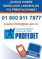 PROFEDET